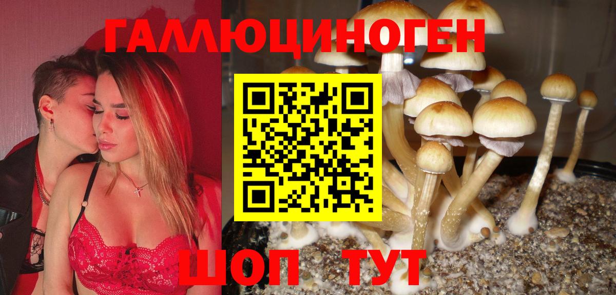 Галлюциногенные грибы мицелий  Псилоцибиновые грибы мухоморы  Омск  Вход с VPN 