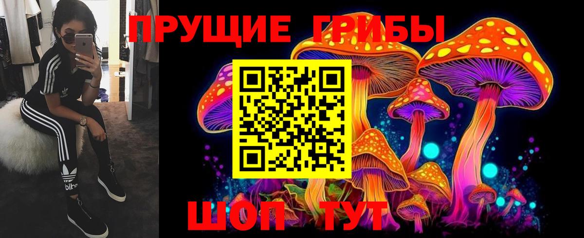 Псилоцибиновые грибы GOLDEN TEACHER Омск